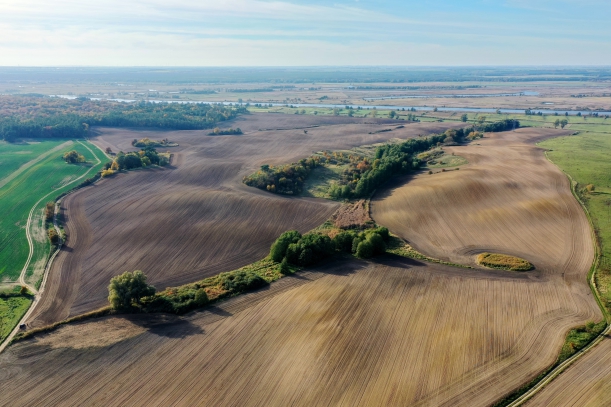 Dębogóra – wieś w Polsce położona  w powiecie gryfińskim, widok na pola